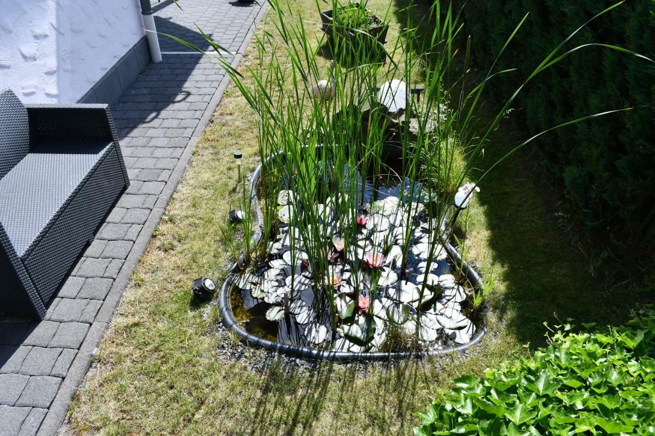 Ferienwohnung Bellerbergblick Ettringen  Екстериор снимка